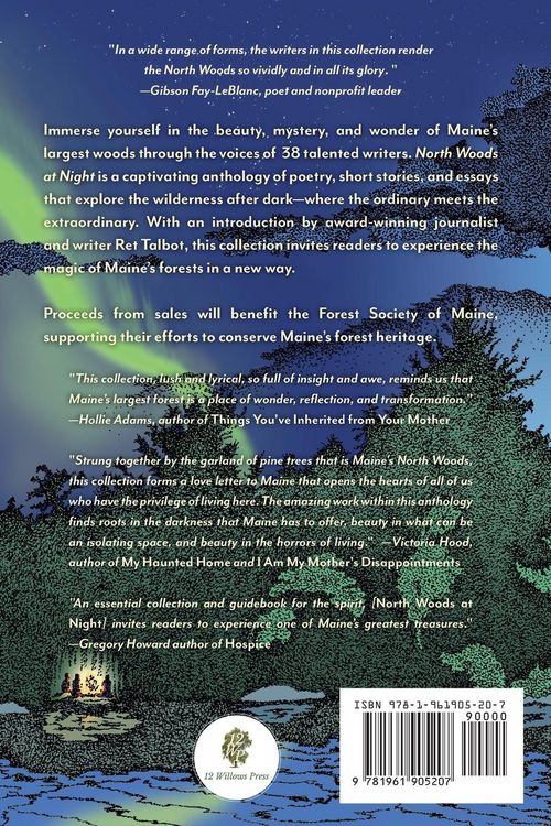 Produktbild: North Woods at Night