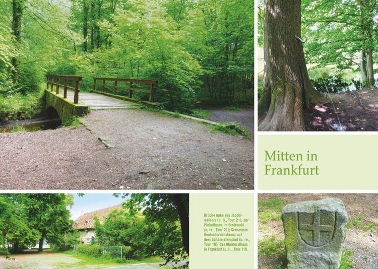 Produktbild: Waldpfade Frankfurt