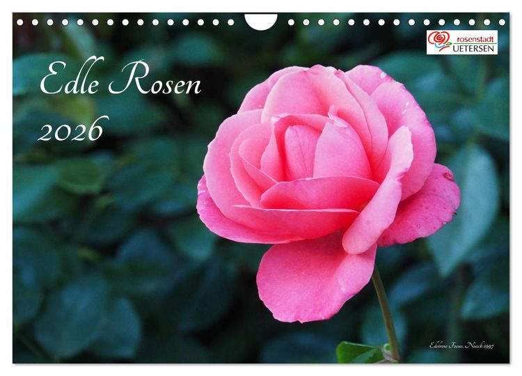 Produktbild: Edle Rosen (Wandkalender 2026 DIN A4 quer), CALVENDO Monatskalender
