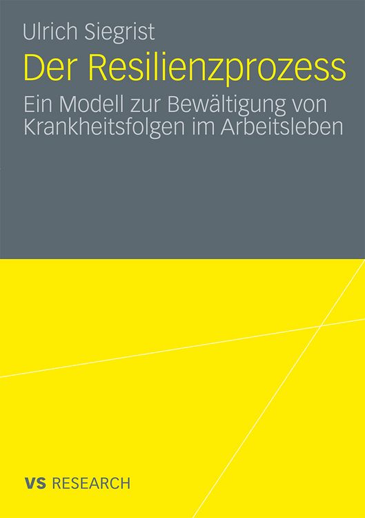 Produktbild: Der Resilienzprozess