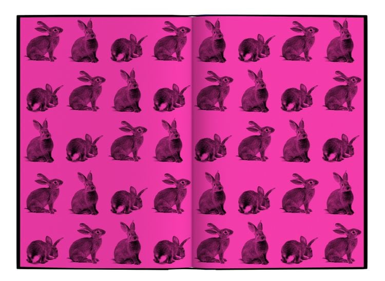 Produktbild: Bunny