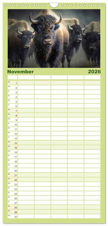 Produktbild: Familienplaner 2026 - Amerikanischer Bison mit 5 Spalten (Wandkalender, 21 x 45 cm) CALVENDO