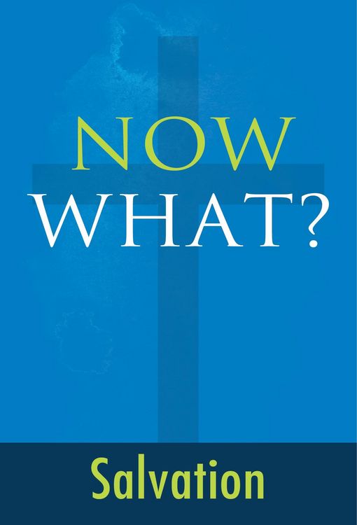 Produktbild: Now What? Salvation