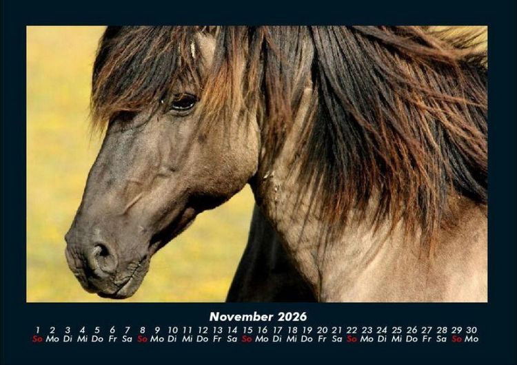 Produktbild: Pferdegefl&uuml;ster 2026 Fotokalender DIN A4