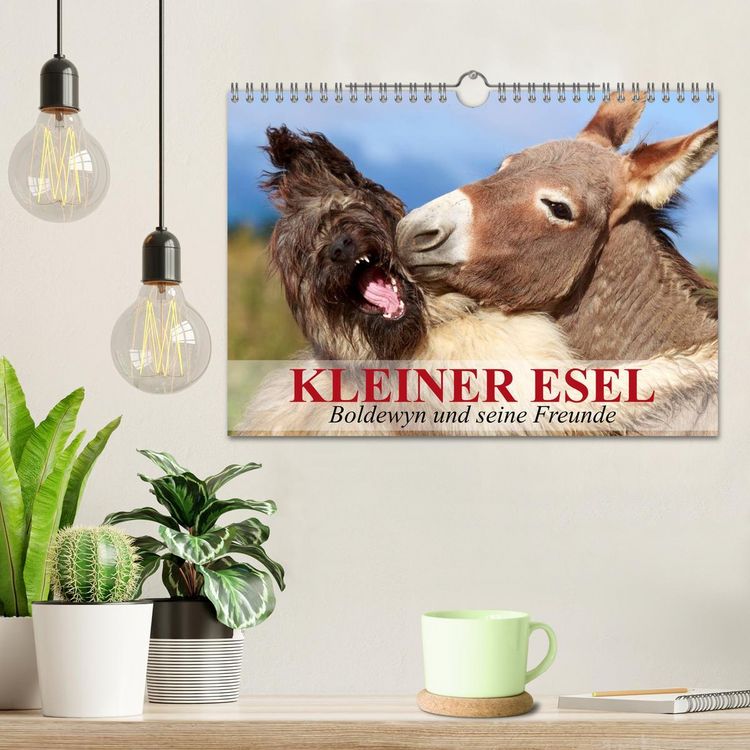 Produktbild: Kleiner Esel. Boldewyn und seine Freunde (Wandkalender 2026 DIN A4 quer), CALVENDO Monatskalender