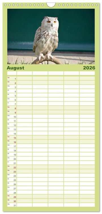 Produktbild: Familienplaner 2026 - Eulen. W&auml;chter der Nacht mit 5 Spalten (Wandkalender, 21 x 45 cm) CALVENDO