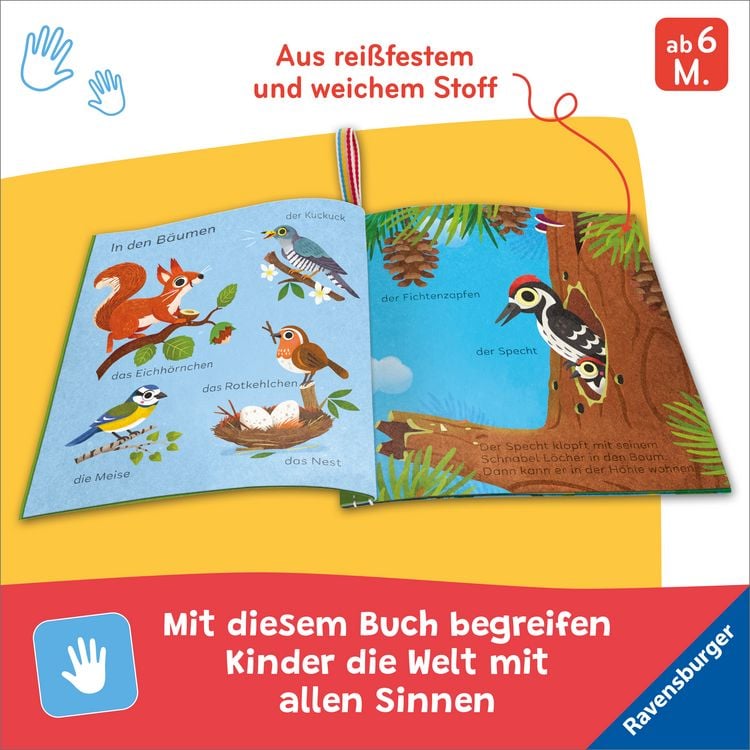 Produktbild: Mein Knuddel-Knautsch-Buch - Im Wald