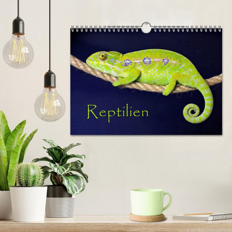 Produktbild: Reptilien (Wandkalender 2026 DIN A4 quer), CALVENDO Monatskalender