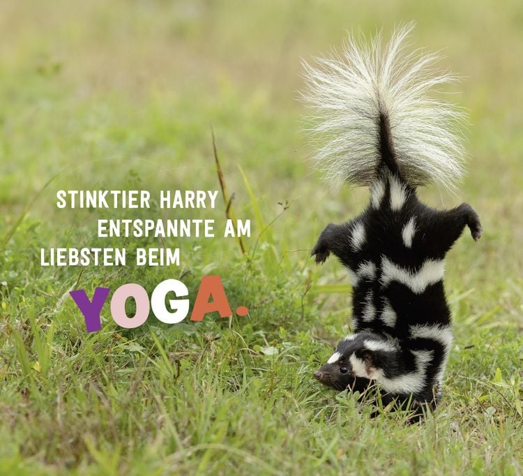Produktbild: Tierisch gechillt!