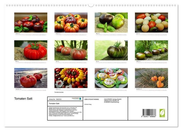 Produktbild: Tomaten Satt (hochwertiger Premium Wandkalender 2026 DIN A2 quer), Kunstdruck in Hochglanz