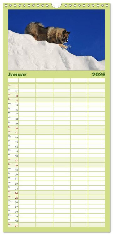 Produktbild: Familienplaner 2026 - Der Wolfsspitz mit 5 Spalten (Wandkalender, 21 x 45 cm) CALVENDO