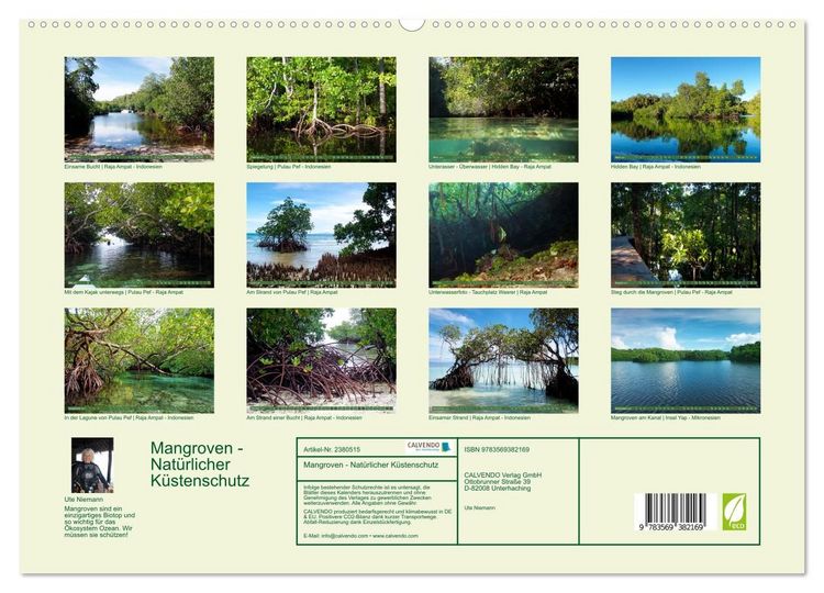 Produktbild: Mangroven - Nat&uuml;rlicher K&uuml;stenschutz (hochwertiger Premium Wandkalender 2027 DIN A2 quer), Kunstdruck in Hochglanz