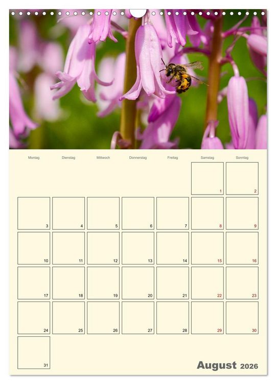 Produktbild: Bienen im Naturgarten (Wandkalender 2026 DIN A3 hoch), CALVENDO Monatskalender