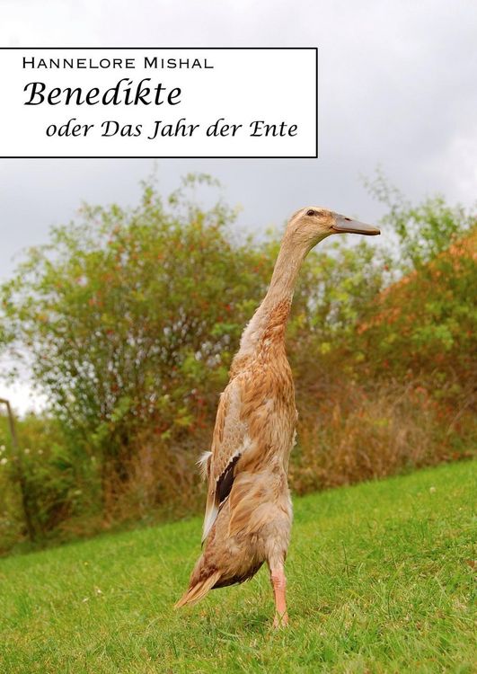 Produktbild: Benedikte oder das Jahr der Ente