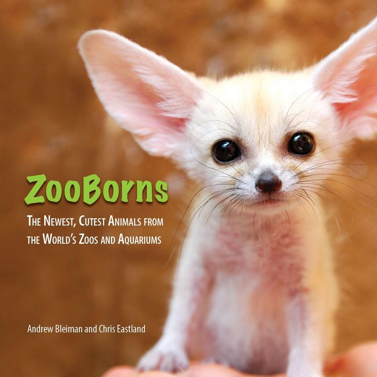 Produktbild: ZooBorns