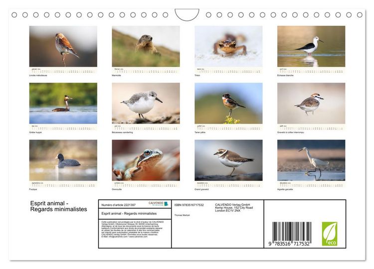 Produktbild: Esprit animal - Regards minimalistes (Calendrier mural 2026 DIN A4 vertical), CALVENDO calendrier mensuel