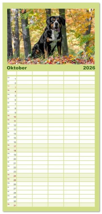 Produktbild: Familienplaner 2026 - Entlebucher - Temperamentvolle Schweizer Sennenhunde mit 5 Spalten (Wandkalender, 21 x 45 cm) CALVENDO