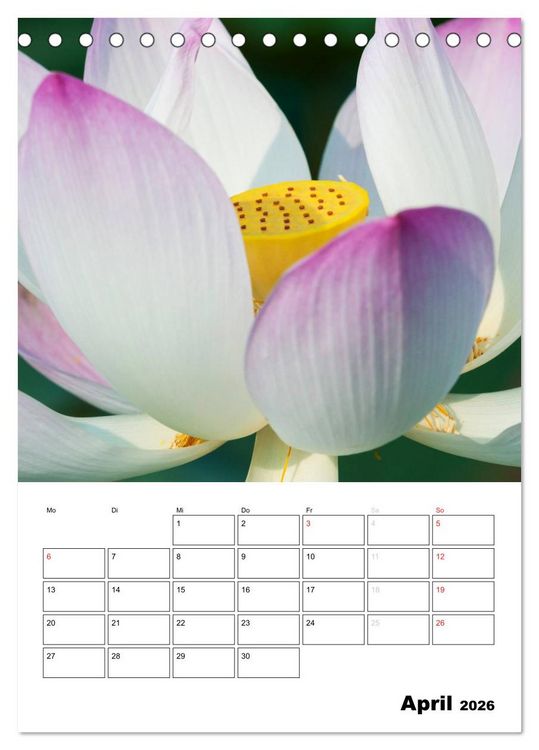 Produktbild: MEDITATION - Wellness f&uuml;r die Seele (Tischkalender 2026 DIN A5 hoch), CALVENDO Monatskalender