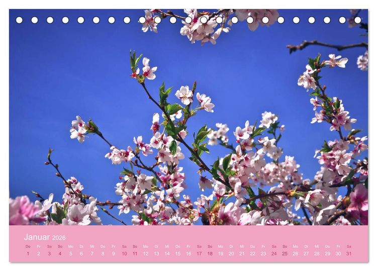 Produktbild: Zarte Kirschbl&uuml;ten - Berauschende Gedankend&uuml;fte (Tischkalender 2026 DIN A5 quer), CALVENDO Monatskalender
