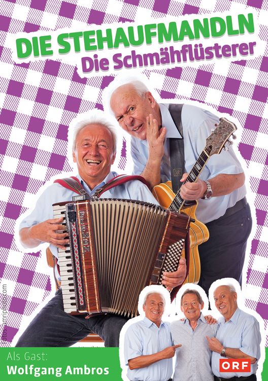 Produktbild: Die Stehaufmandln - Die Schm&auml;hfl&uuml;sterer