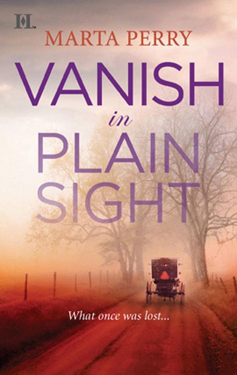 Produktbild: Vanish in Plain Sight