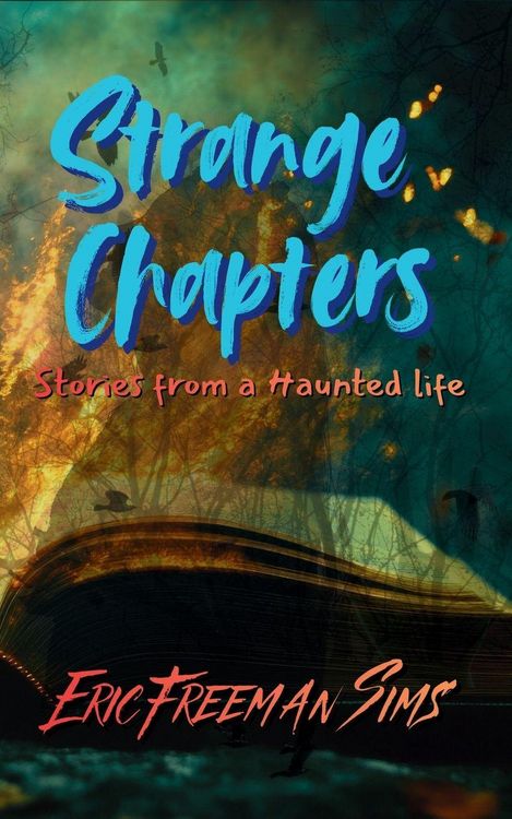 Produktbild: Strange Chapters