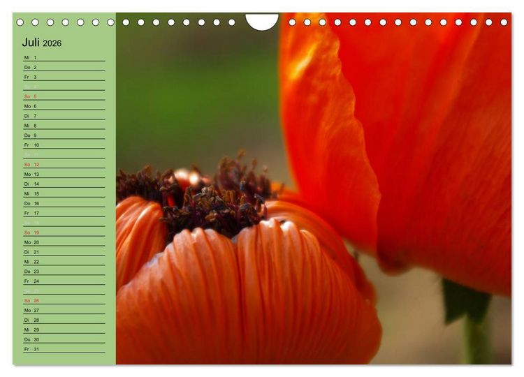 Produktbild: Mohnblumen Tr&auml;ume (Wandkalender 2026 DIN A4 quer), CALVENDO Monatskalender