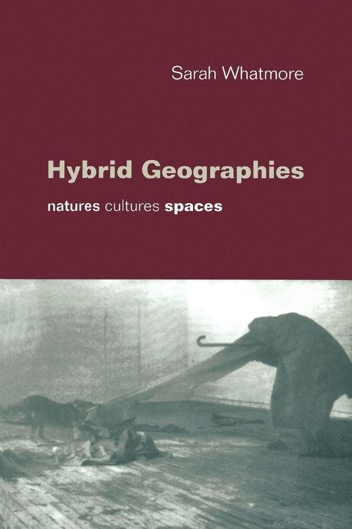 Produktbild: Hybrid Geographies