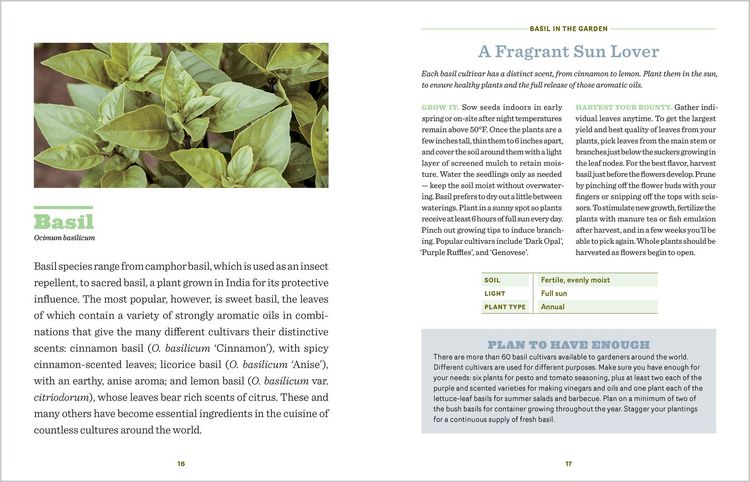 Produktbild: The Beginner's Guide to Edible Herbs