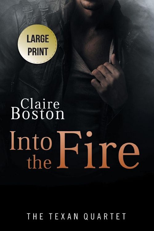 Produktbild: Into the Fire
