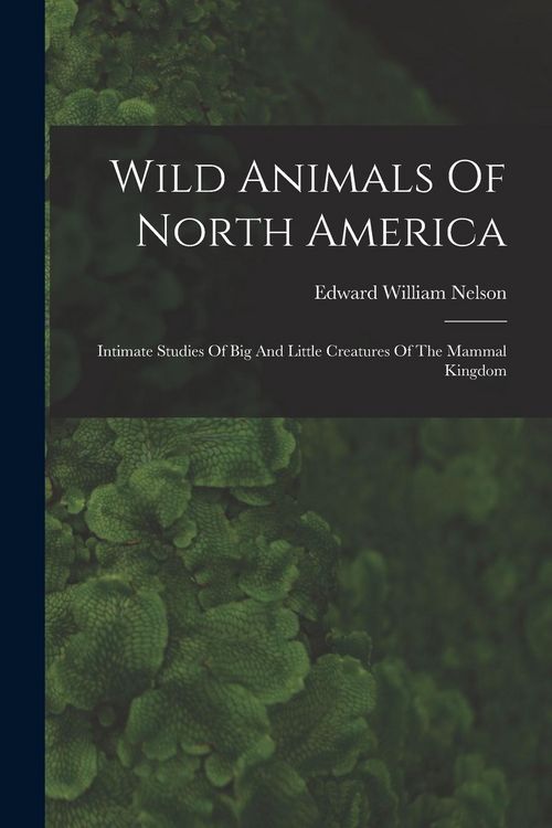 Produktbild: Wild Animals Of North America: Intimate Studies Of Big And Little Creatures Of The Mammal Kingdom