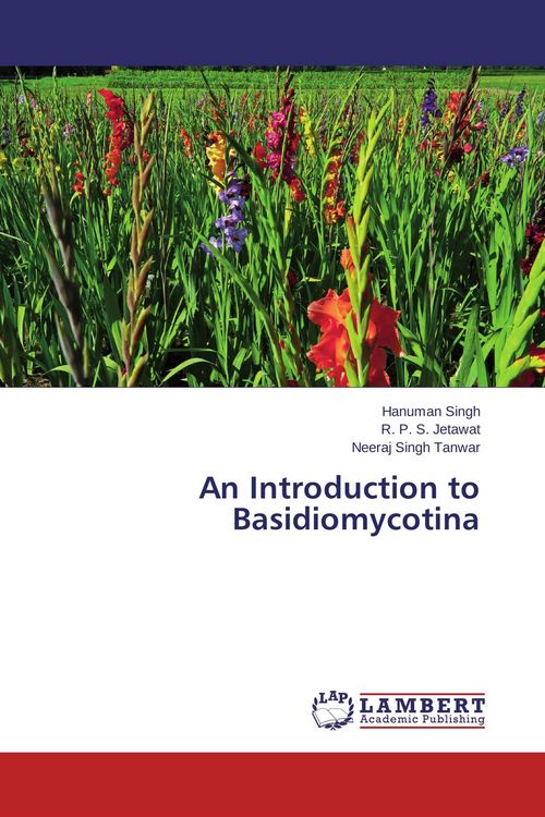 Produktbild: An Introduction to Basidiomycotina