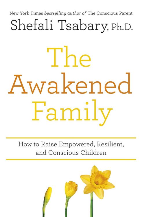 Produktbild: The Awakened Family