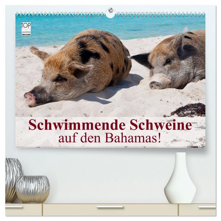 Produktbild: Schwimmende Schweine auf den Bahamas! (hochwertiger Premium Wandkalender 2026 DIN A2 quer), Kunstdruck in Hochglanz