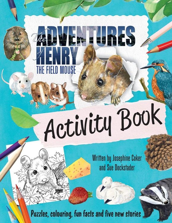Produktbild: The Adventures of Henry the Field Mouse Activity Book