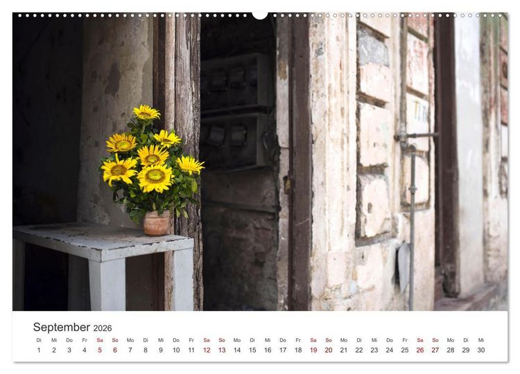 Produktbild: Sonnenblumen - Erstrahlen im freundlichen Gelb. (hochwertiger Premium Wandkalender 2026 DIN A2 quer), Kunstdruck in Hochglanz