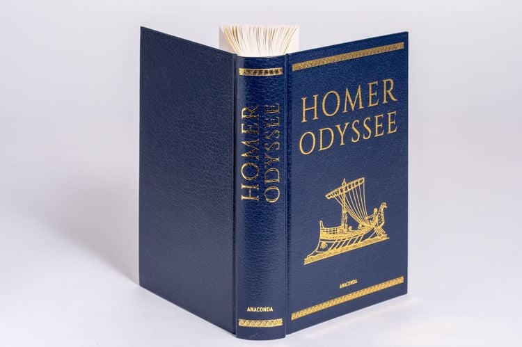 Produktbild: Homer, Odyssee