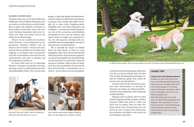Produktbild: Typgerechte Hundeerziehung