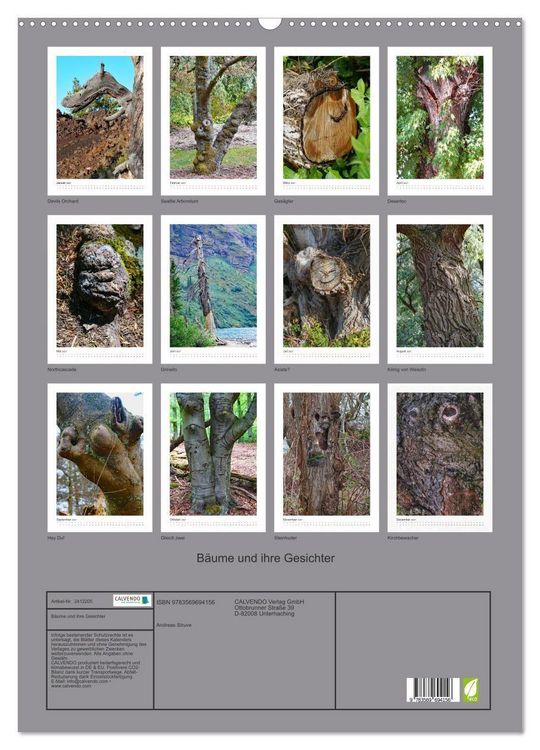 Produktbild: B&auml;ume und ihre Gesichter (Wandkalender 2027 DIN A2 hoch), CALVENDO Monatskalender