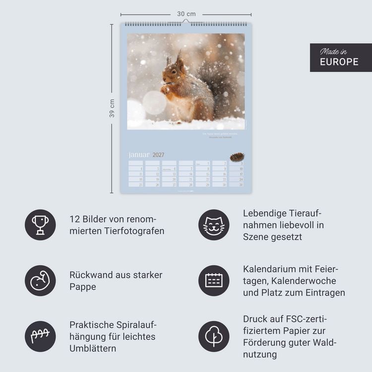Produktbild: Eichh&ouml;rnchen Kalender 2027