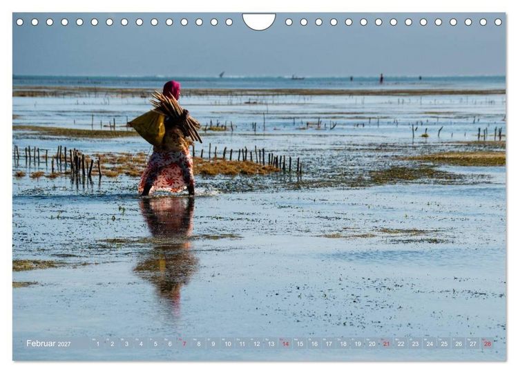 Produktbild: Sansibar - Impressionen von Rolf Dietz (Wandkalender 2027 DIN A4 quer), CALVENDO Monatskalender