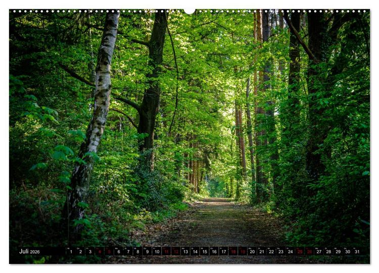 Produktbild: Wege des einfachen Gl&uuml;cks - Spazierg&auml;nge im Wald (hochwertiger Premium Wandkalender 2026 DIN A2 quer), Kunstdruck in Hochglanz