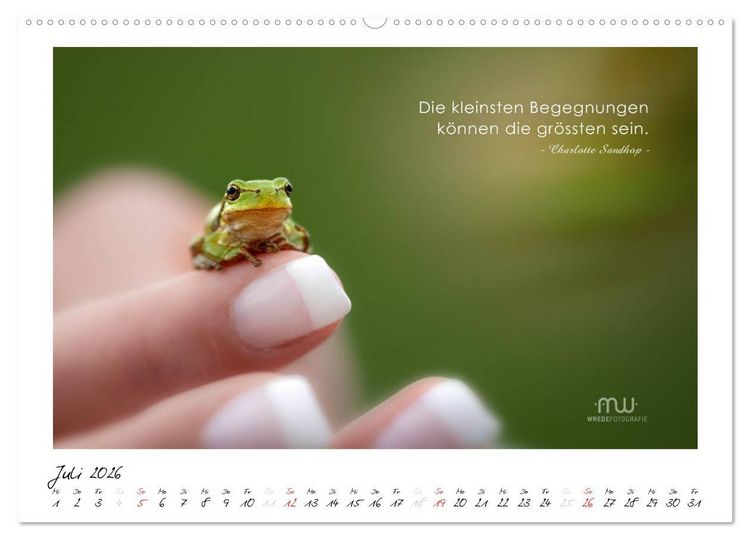 Produktbild: Gedanken... Bildkalender mit Spr&uuml;chen (hochwertiger Premium Wandkalender 2026 DIN A2 quer), Kunstdruck in Hochglanz