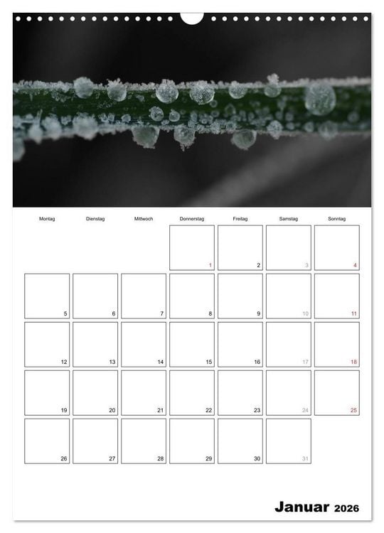 Produktbild: schwarz/wei&szlig; trifft farbe - DEIN TERMINKALENDER / Planer (Wandkalender 2026 DIN A3 hoch), CALVENDO Monatskalender