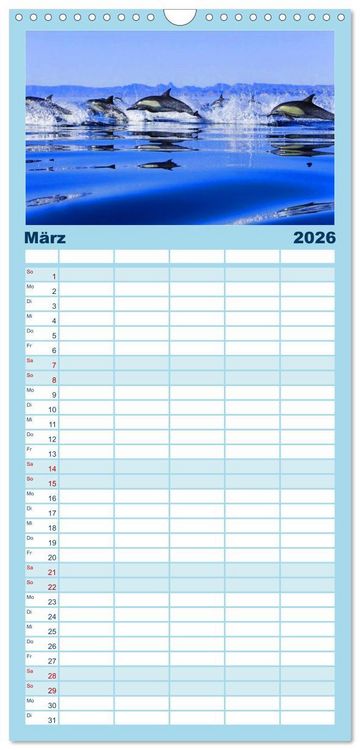 Produktbild: Familienplaner 2026 - Delfine - L&auml;chelnde Intelligenz mit 5 Spalten (Wandkalender, 21 x 45 cm) CALVENDO