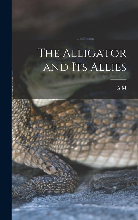 Produktbild: The Alligator and its Allies