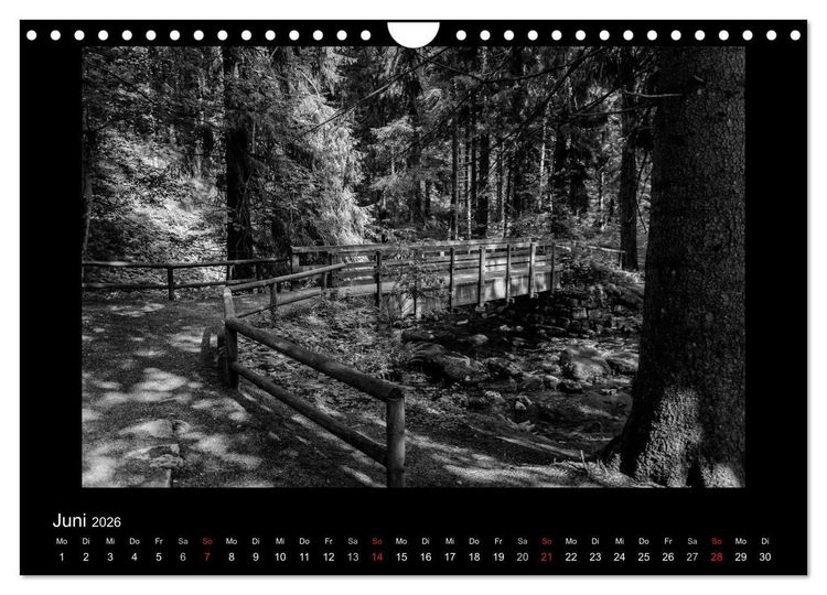 Produktbild: Harz-Bilder in monochrome (Wandkalender 2026 DIN A4 quer), CALVENDO Monatskalender