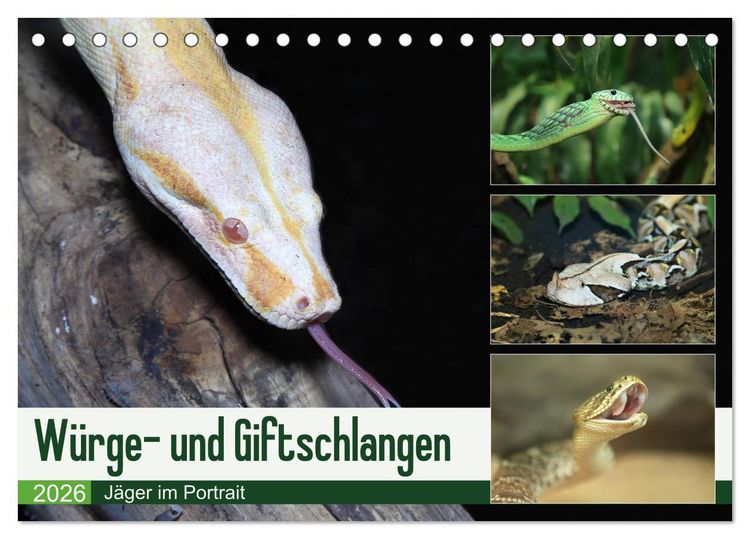 Produktbild: W&uuml;rge- und Giftschlangen (Tischkalender 2026 DIN A5 quer), CALVENDO Monatskalender
