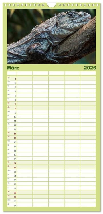 Produktbild: Familienplaner 2026 - Echsen - Schuppige &Uuml;berlebensk&uuml;nstler mit 5 Spalten (Wandkalender, 21 x 45 cm) CALVENDO