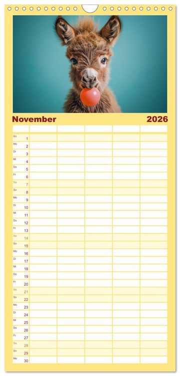 Produktbild: Familienplaner 2026 - Lustige Eselgeschichten mit 5 Spalten (Wandkalender, 21 x 45 cm) CALVENDO